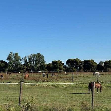 Lazy River Motor Inn Swan Hill Luaran gambar