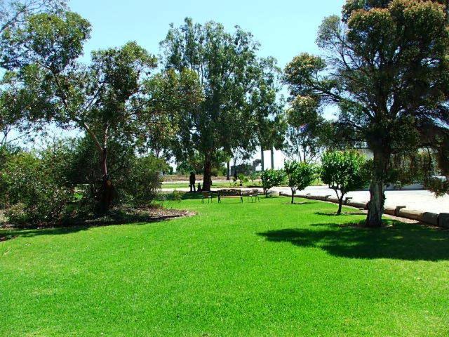 Lazy River Motor Inn Swan Hill Luaran gambar