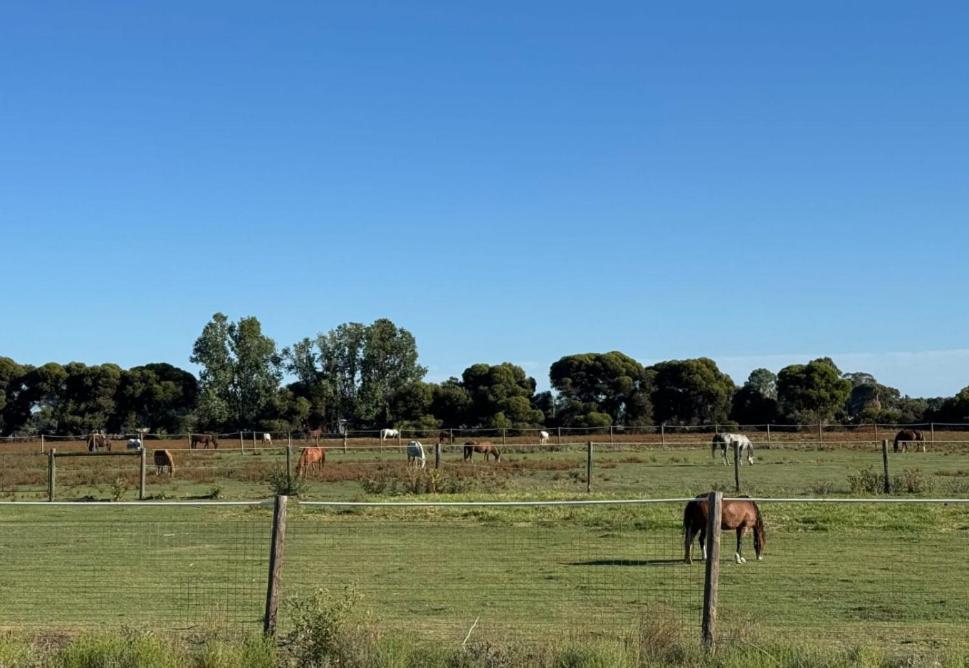 Lazy River Motor Inn Swan Hill Luaran gambar